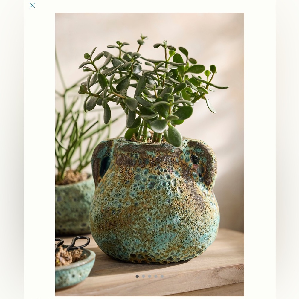 Anthropologie Terrain Barnacle Amphora Pot NEW
